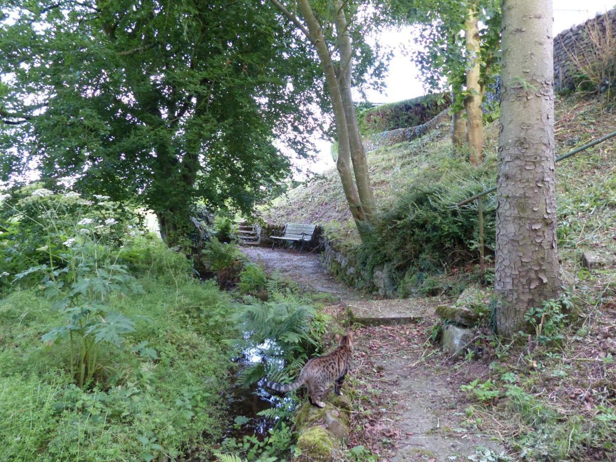 Relax In A 1 Bedroom Apartment Near A Country Pub Eyemouth Zewnętrze zdjęcie